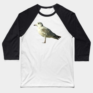 Seagull Baseball T-Shirt